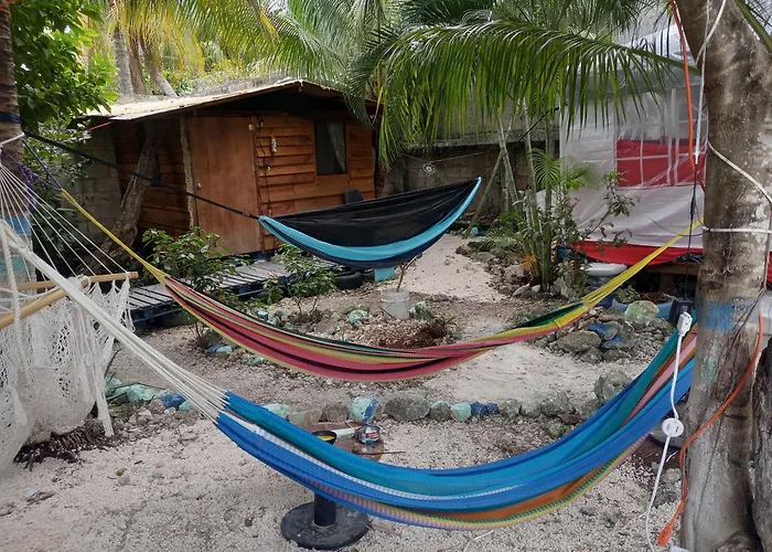 Voluntary & * Cozumel